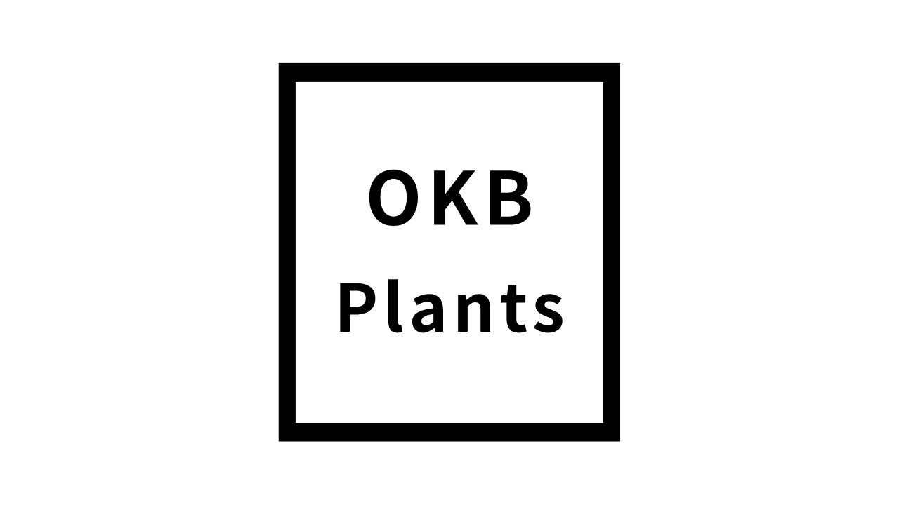 OKB Coffee から OKB Plants へ