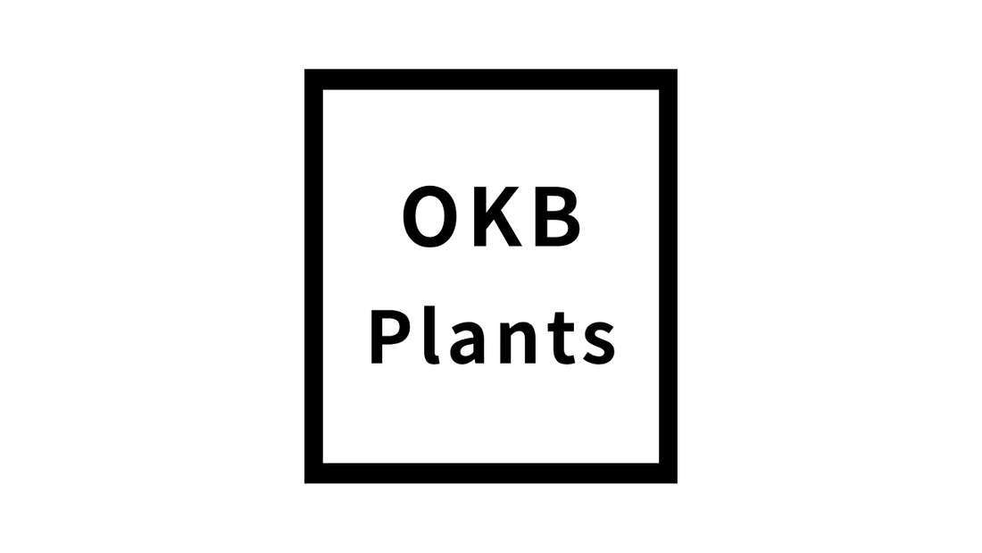 OKB Coffee から OKB Plants へ