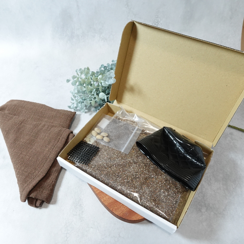 【送料無料】コーヒーの木栽培キット 種子5粒入り