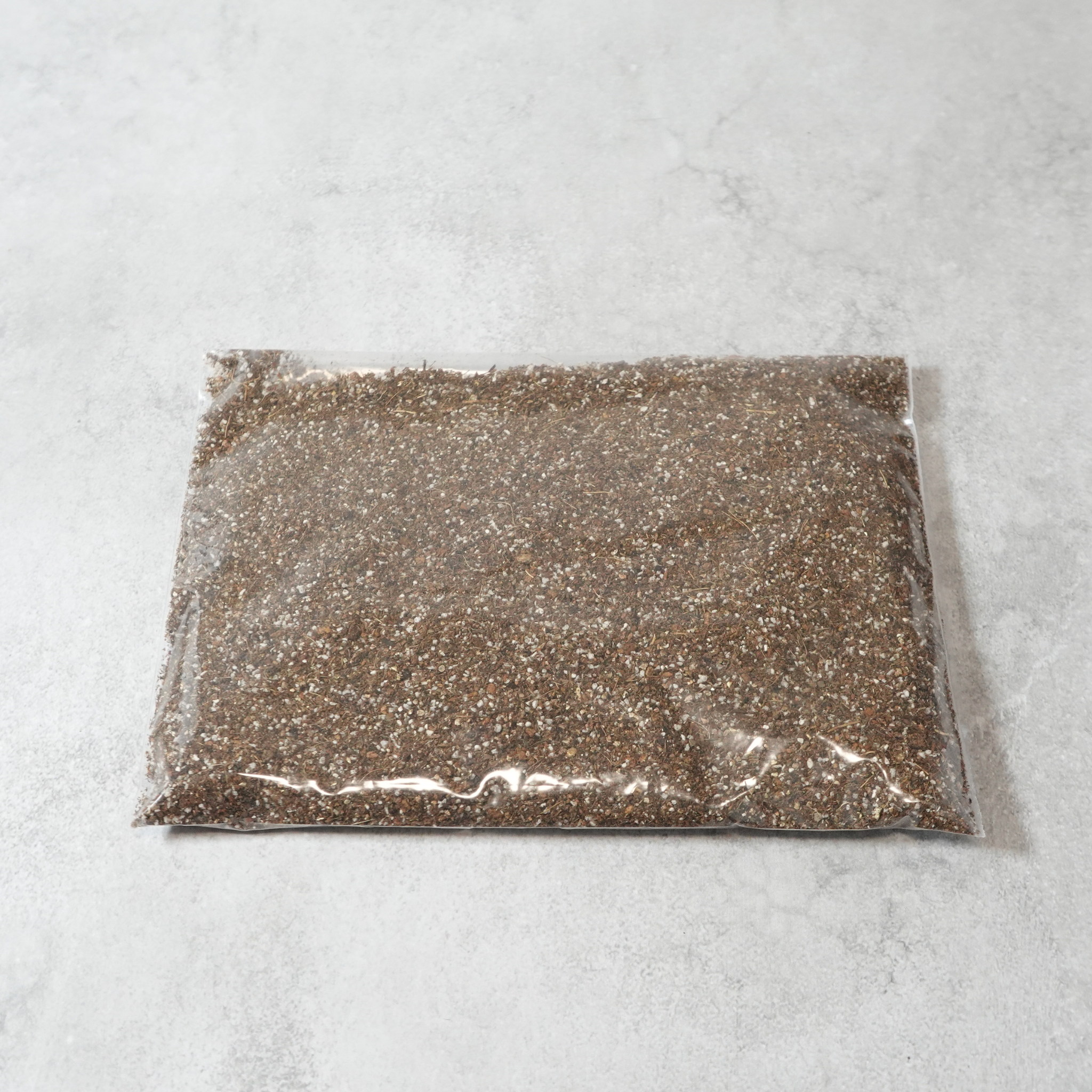 【送料無料】コーヒーの木栽培キット 種子5粒入り