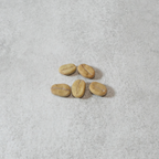 【送料無料】コーヒーの木栽培キット 種子5粒入り