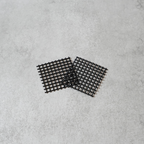 【送料無料】コーヒーの木栽培キット 種子5粒入り