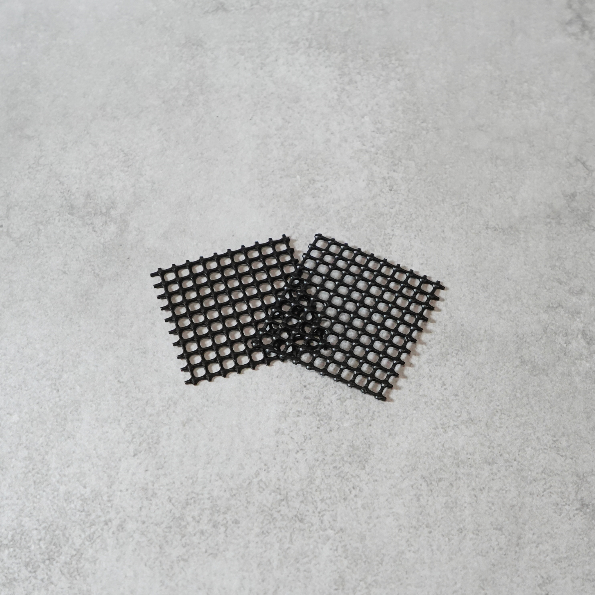 【送料無料】コーヒーの木栽培キット 種子5粒入り