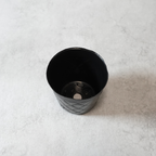 【送料無料】コーヒーの木栽培キット 種子5粒入り