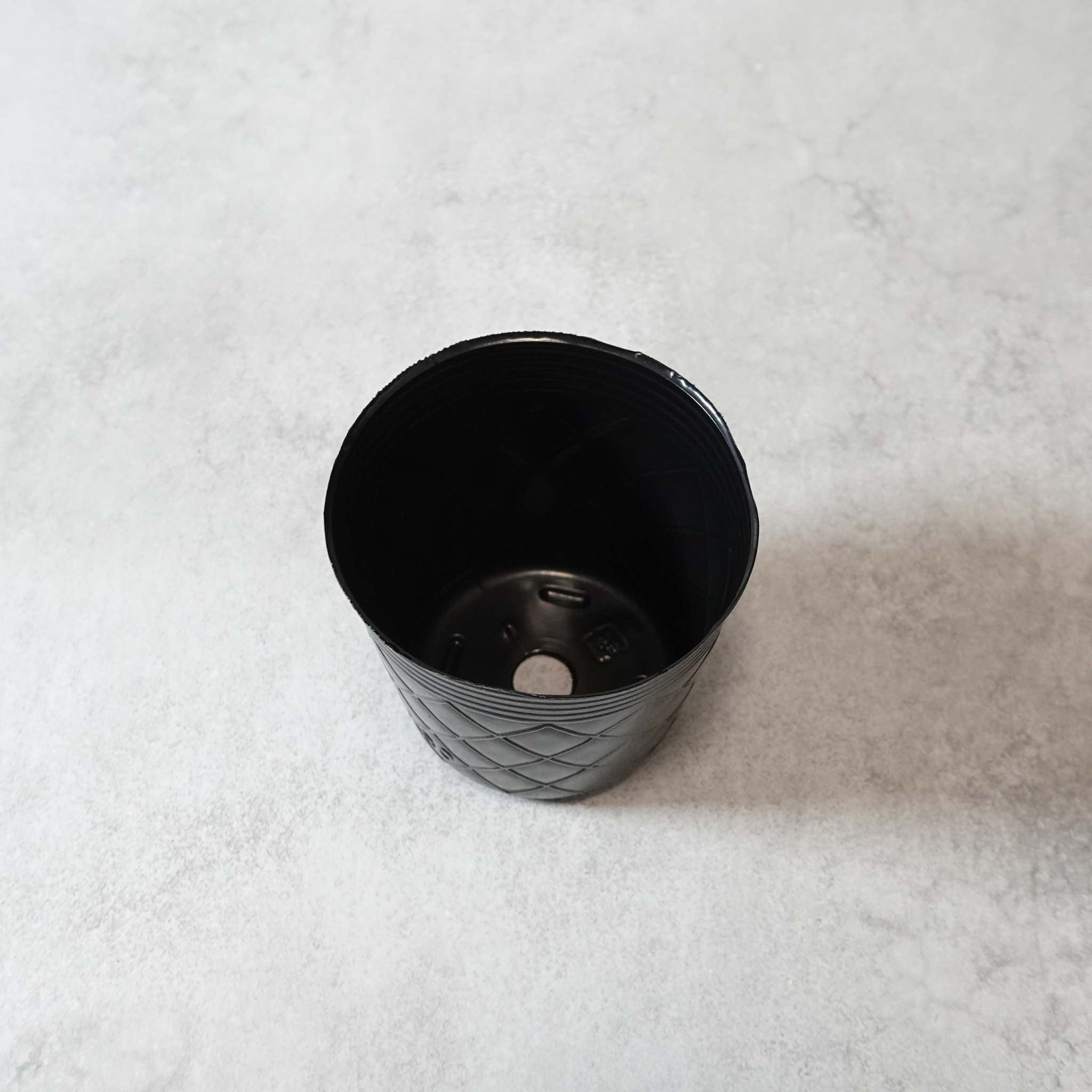 【送料無料】コーヒーの木栽培キット 種子5粒入り