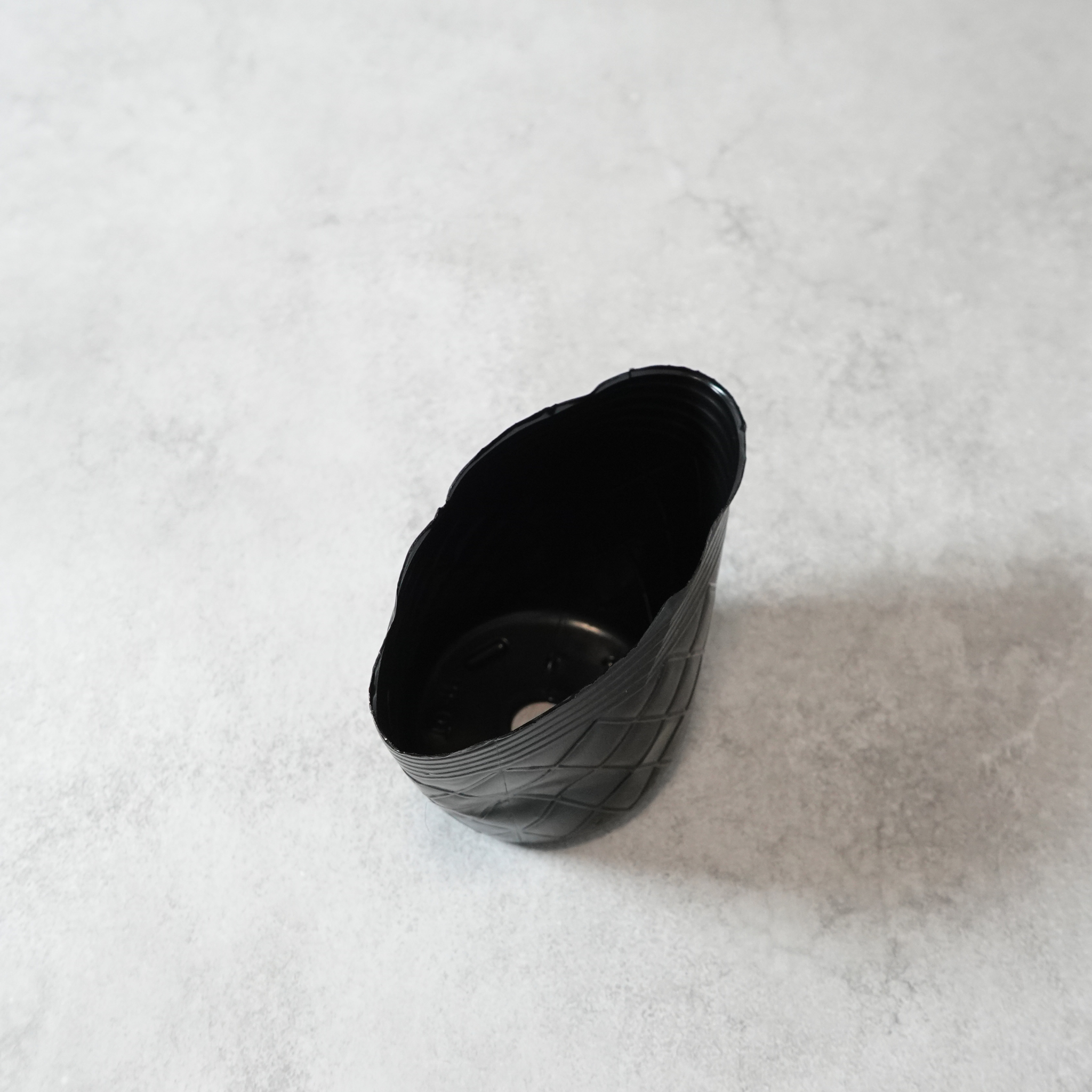 【送料無料】コーヒーの木栽培キット 種子5粒入り