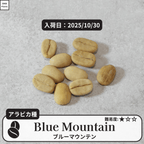 ブルーマウンテン(blue mountain)の種子