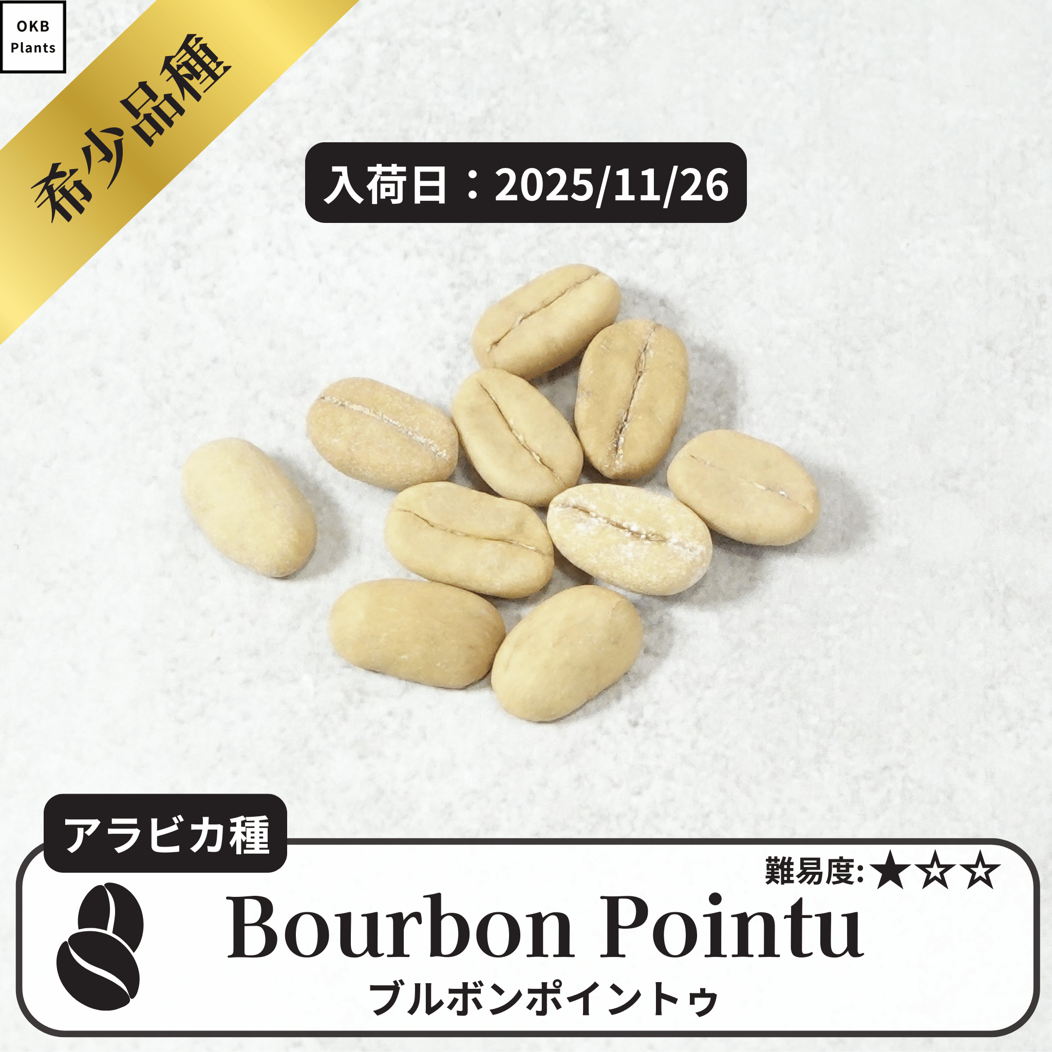 ブルボンポイントゥ、ローリナ(Bourbon Pointu/Laurina)の種子