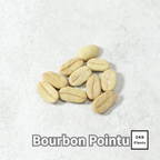 ブルボンポイントゥ品種 コーヒーの木の種子 10粒