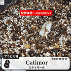 カティモール(Catimor)の発根確認