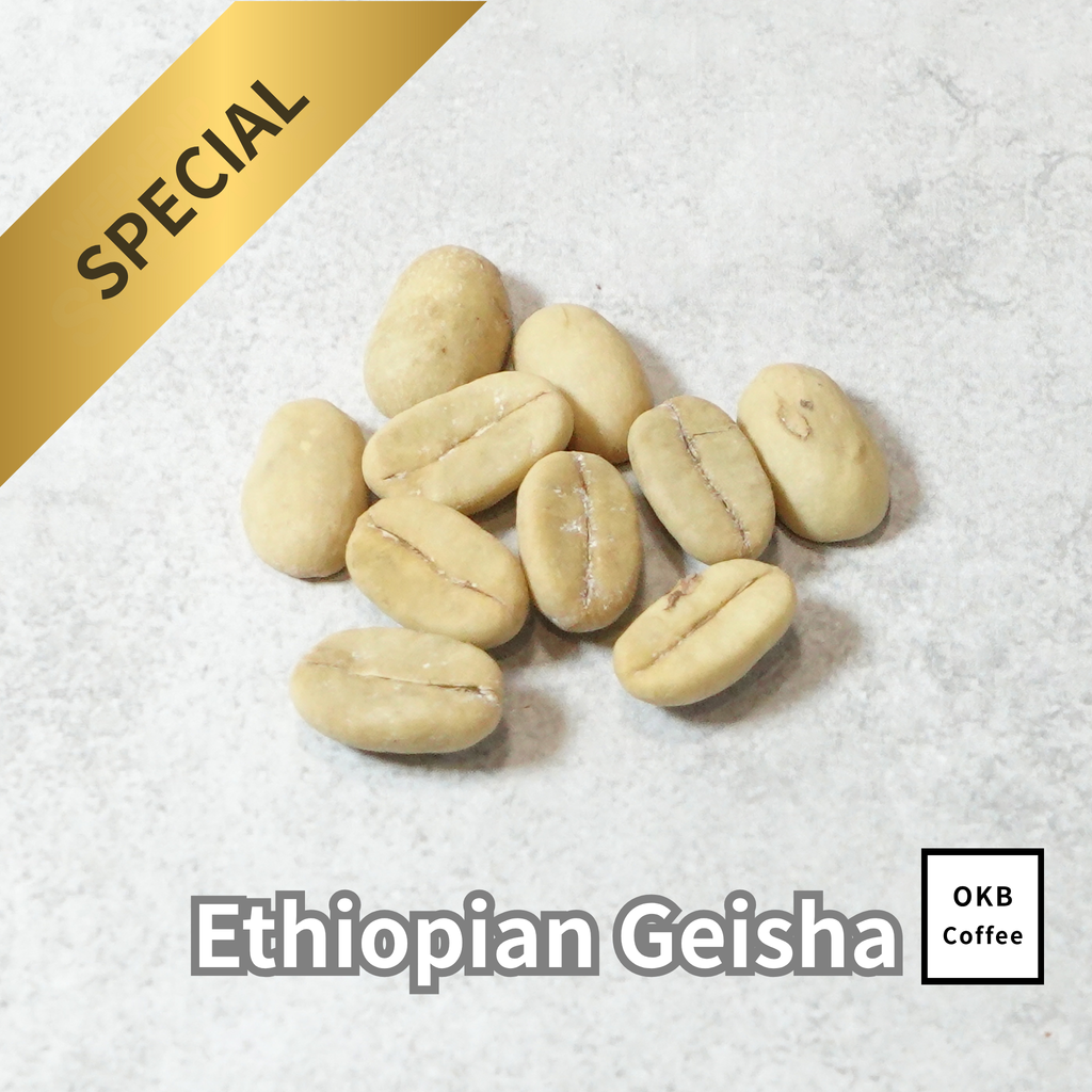 コーヒーの木の種子 エチオピアゲイシャ品種 10粒