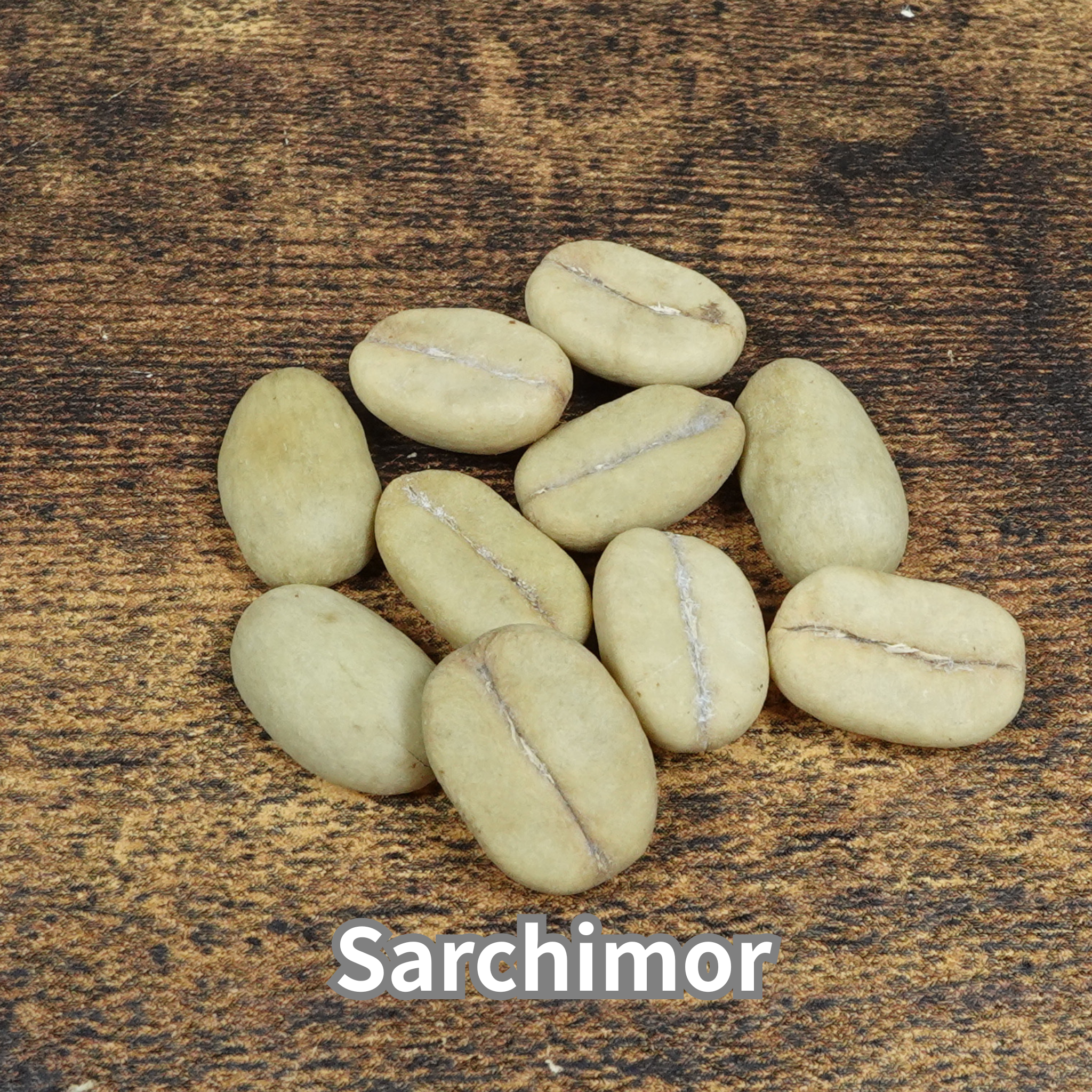 コーヒーの木の種子 サルチモール品種 10粒