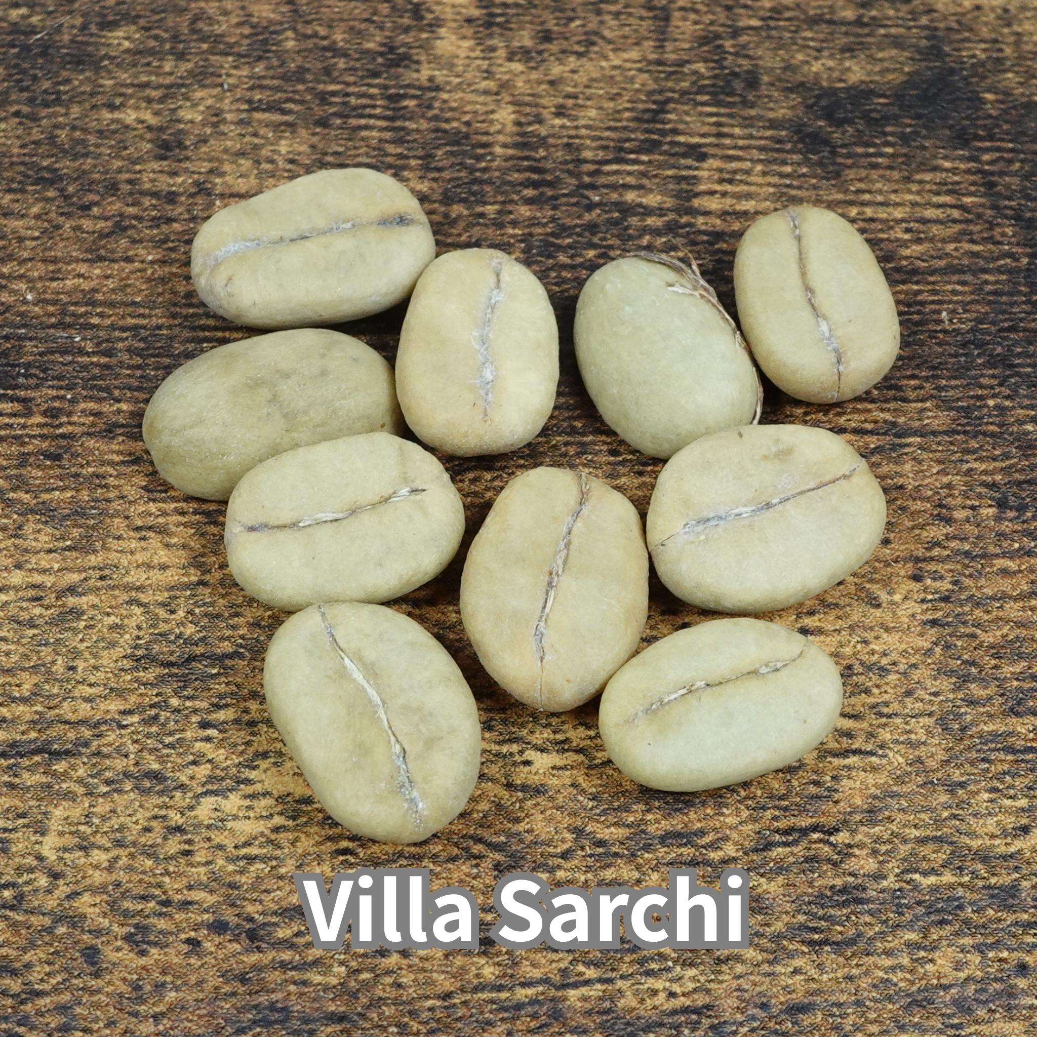 コーヒーの木の種子 ビジャサルチ品種 10粒