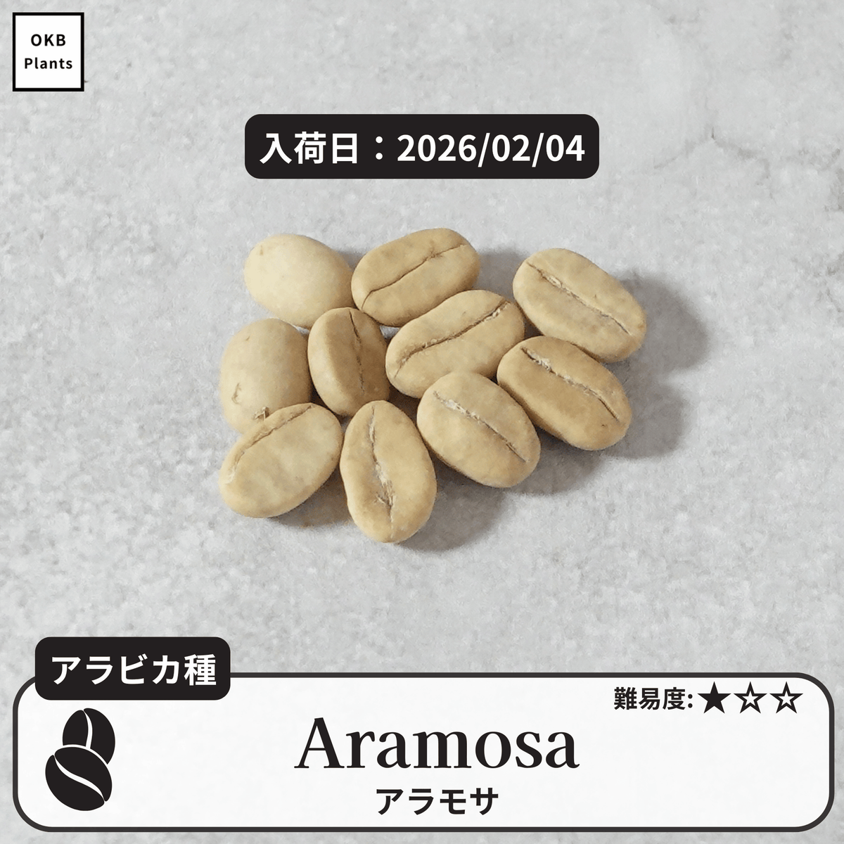アラモサ(Aramosa)の種子