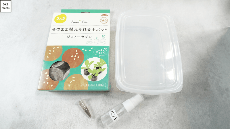 ビカクシダ リドレイの胞子 0.25ml (Platycerium ridleyi) – OKB Plants