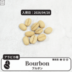 ブルボン品種 コーヒーの木の種子 10粒