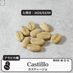 カスティージョ(castillo)の種子