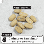 カティモールまたはサルチモール コーヒーの木の種子 10粒
