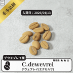 デウェブレイ コーヒーの木の種子 10粒