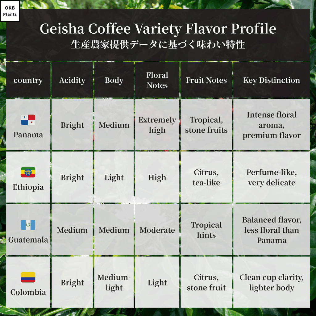 ゲイシャ品種の味わいの比較表