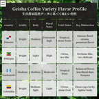 ゲイシャ品種の味わいの比較表