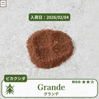 ビカクシダグランデの胞子