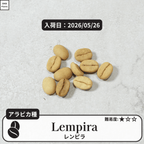 レンピラ(lempira)のコーヒーの木の種子