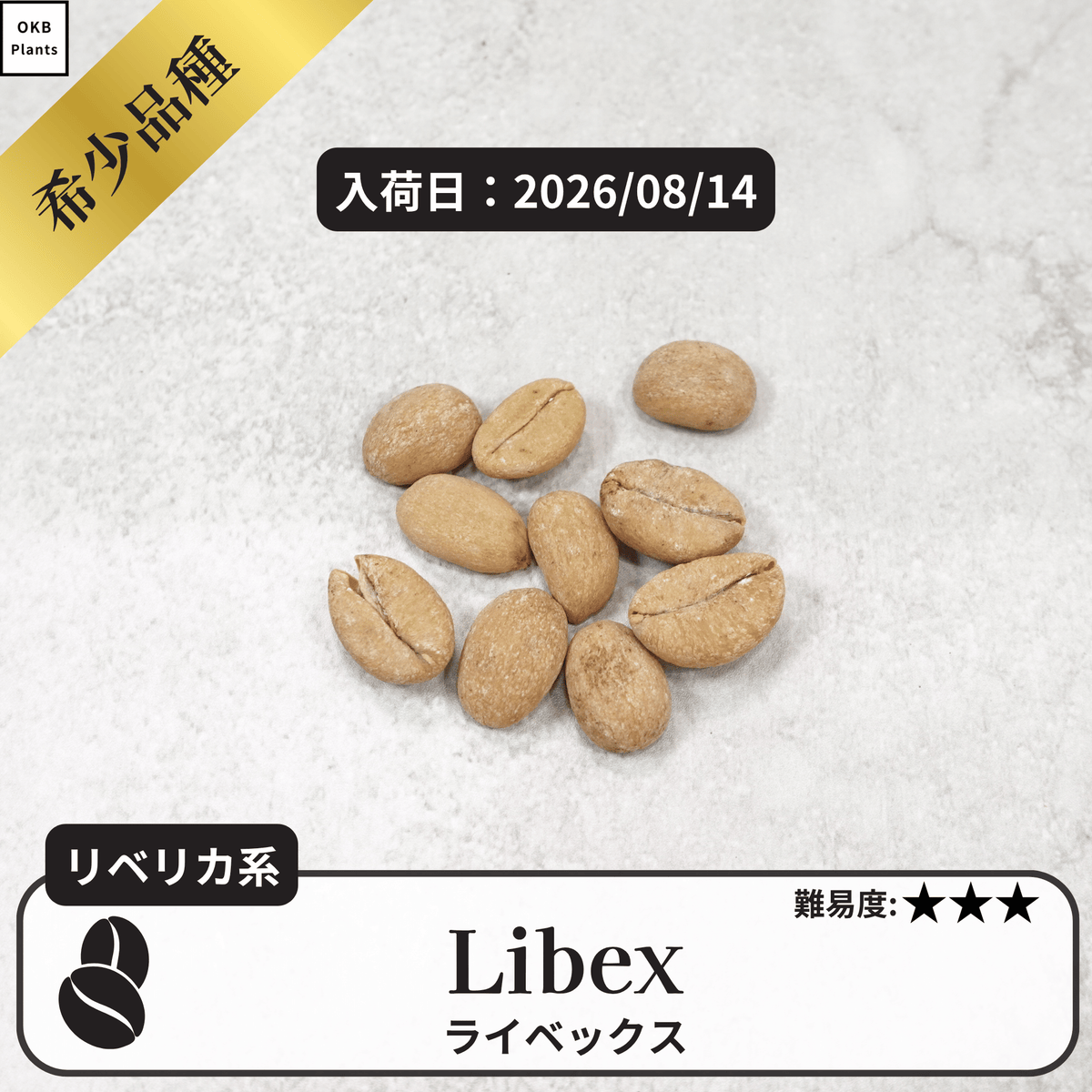 ライベックス(libex)のコーヒーの木の種子