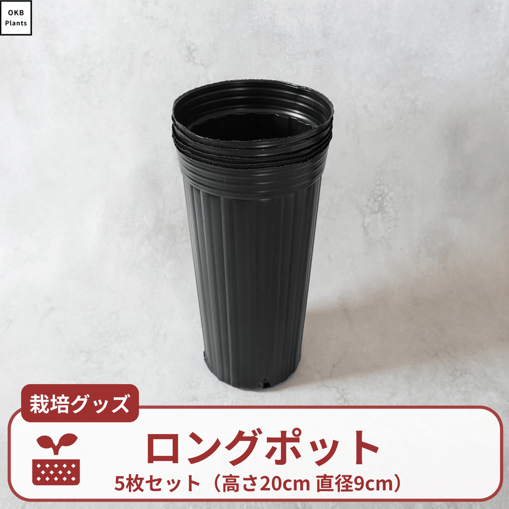 栽培用ロングポット