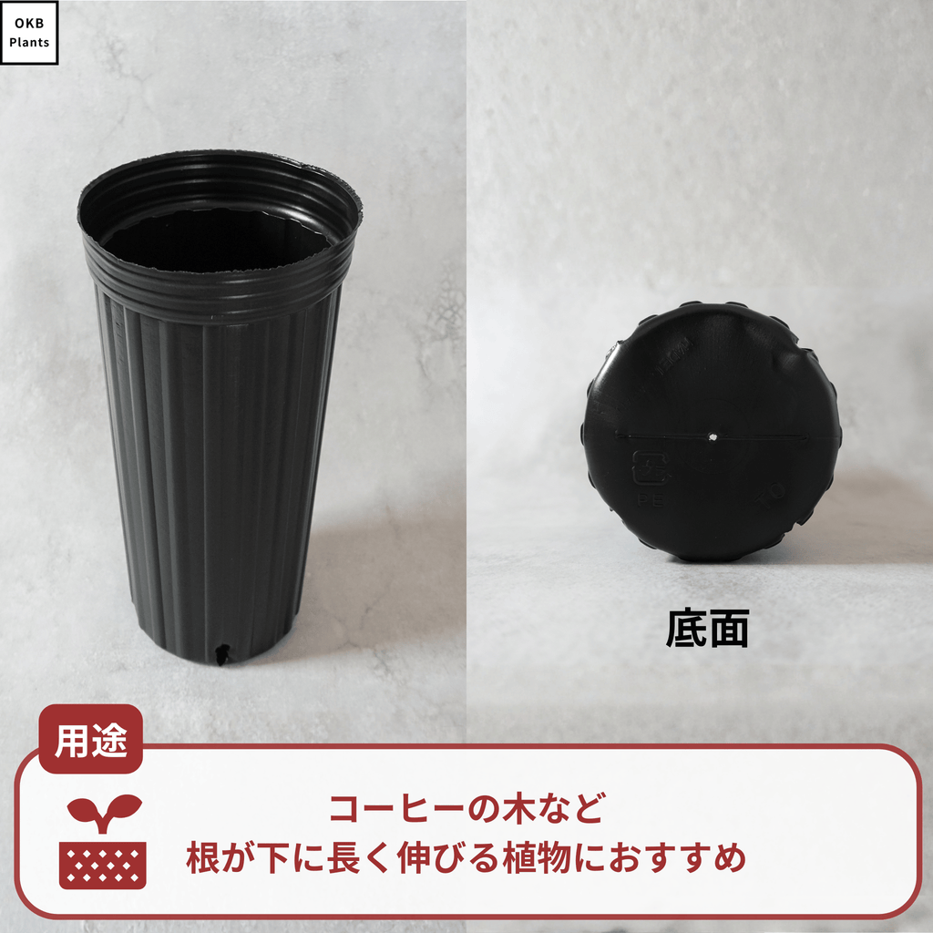 栽培用ロングポット