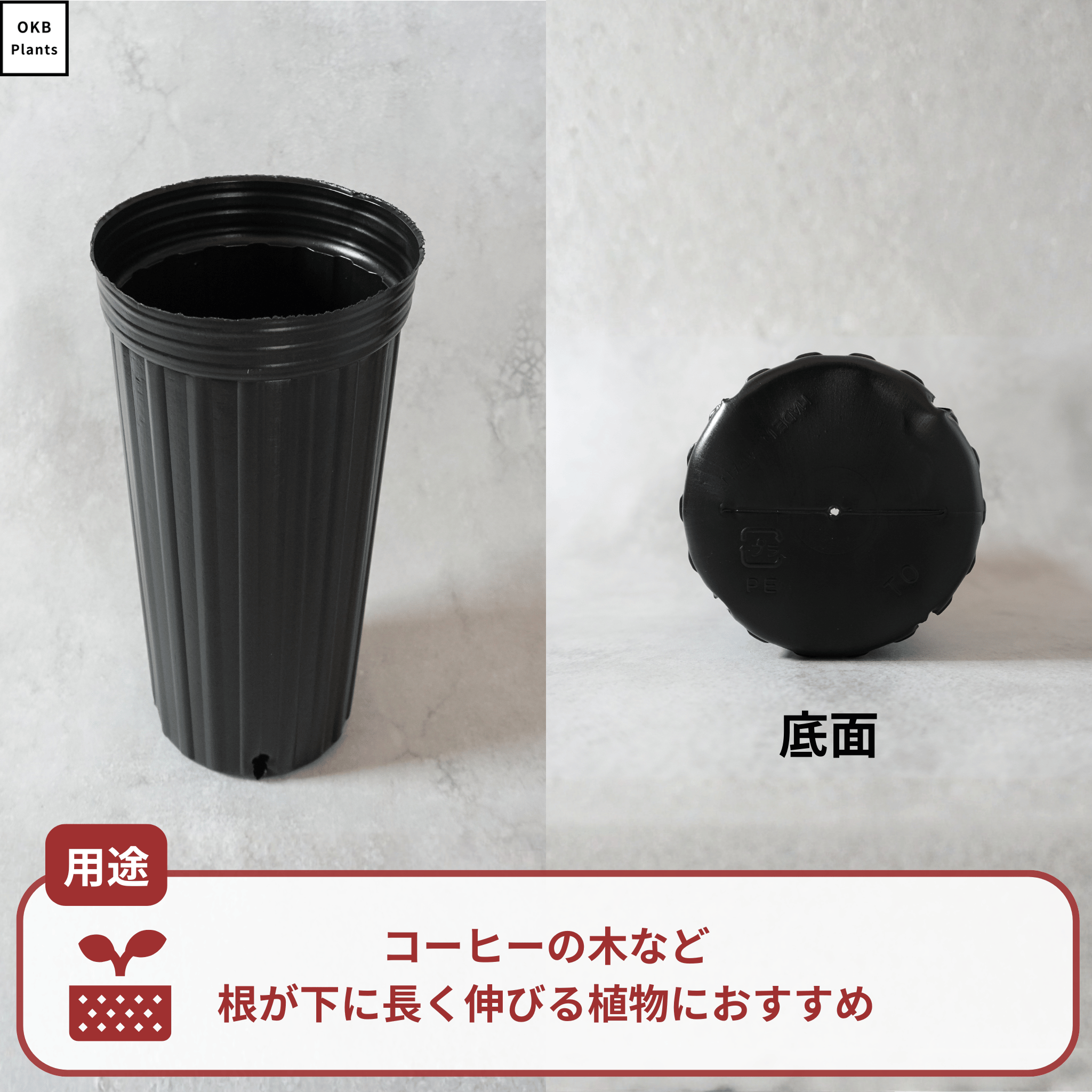栽培用ロングポット