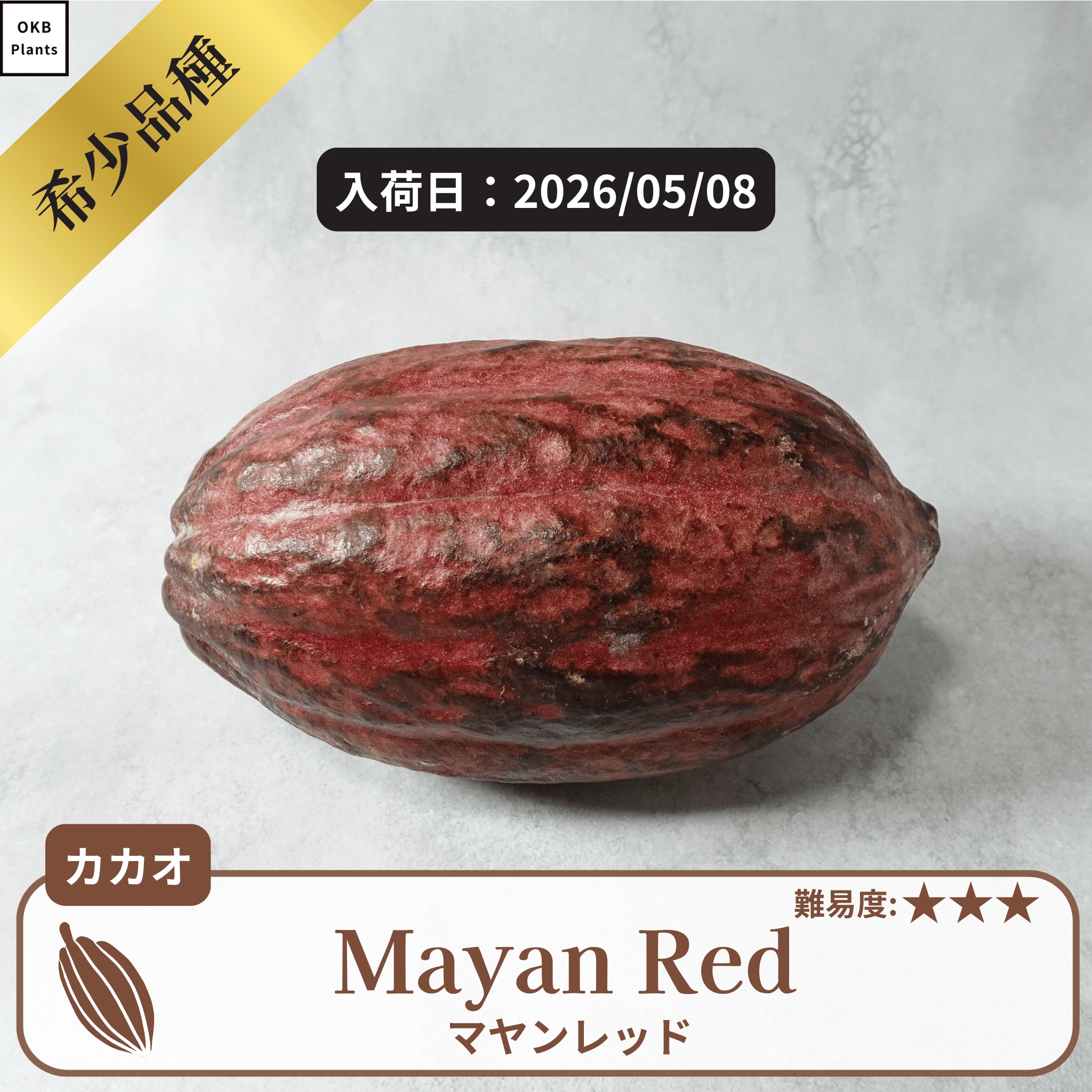 マヤンレッド(Mayan Red)カカオポッド