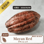 マヤンレッド(Mayan Red)カカオポッド