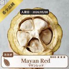 マヤンレッド(Mayan Red)カカオポッド