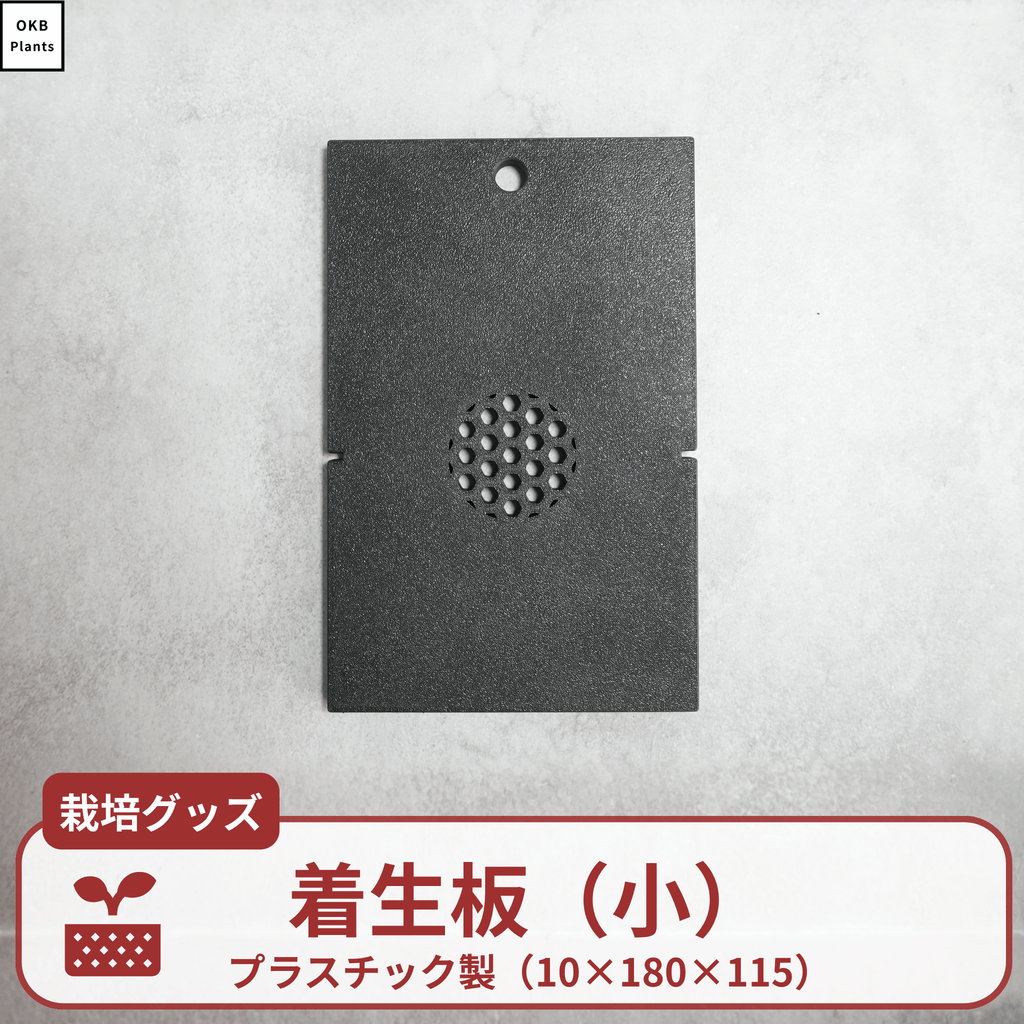 ビカクシダ・コウモリランの着生板