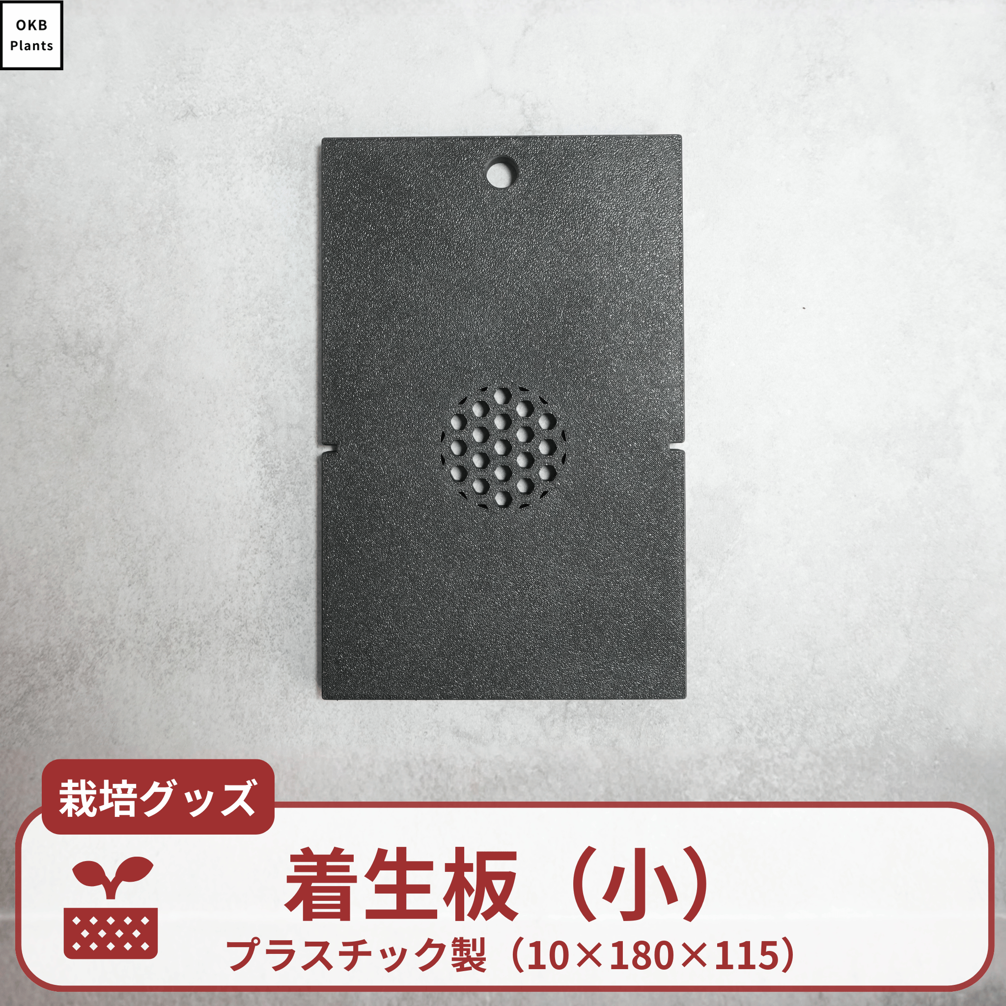 ビカクシダ・コウモリランの着生板