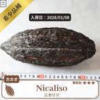 ニカリソ(Nicaliso)カカオポッド
