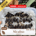 ニカリソ(Nicaliso)カカオポッド
