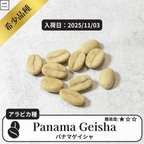 パナマゲイシャ(panama geisha)の種子