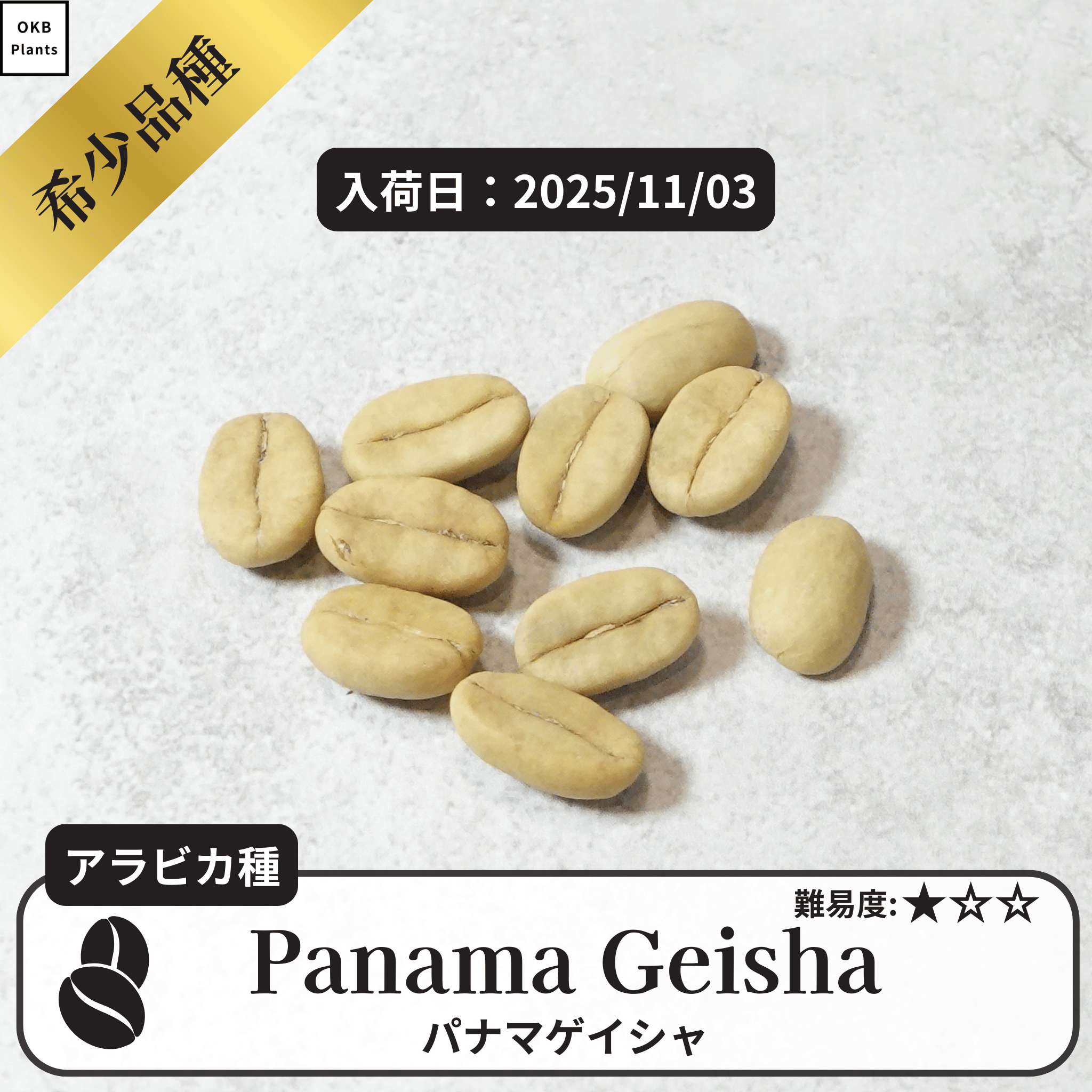 パナマゲイシャ(panama geisha)の種子