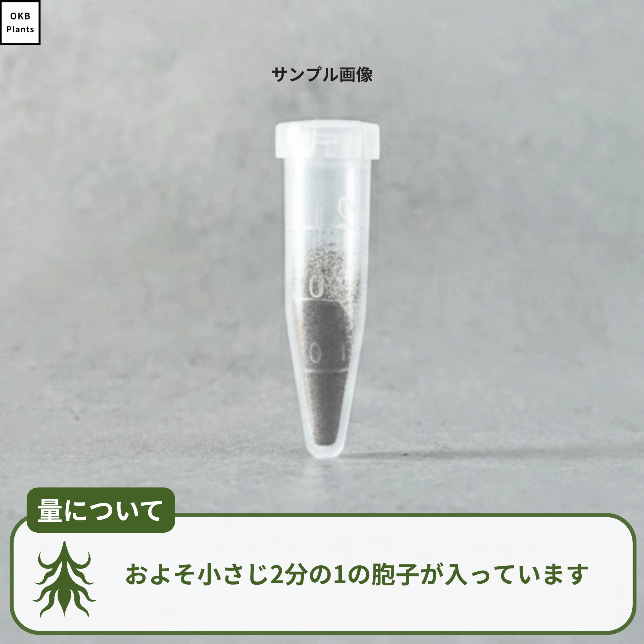 ビカクシダの胞子の量について