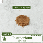 ビカクシダスパーバム(P.superbum)の胞子