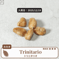 トリニタリオの種子